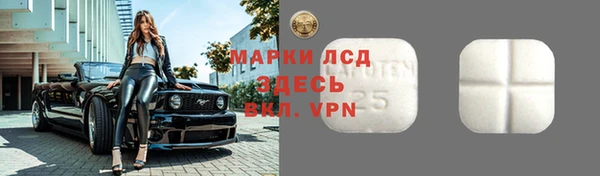 гидра Аркадак