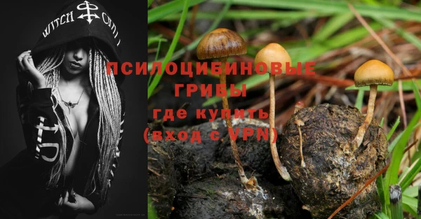 mix Саяногорск
