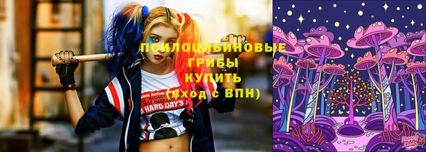 гидра Аркадак